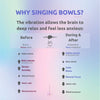 ⭐ BEST-SELLER ⭐ Premium Crystal Singing Bowl - healmonic